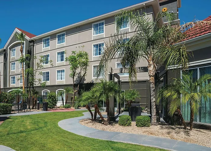 Hoteles que admiten perros en Phoenix 