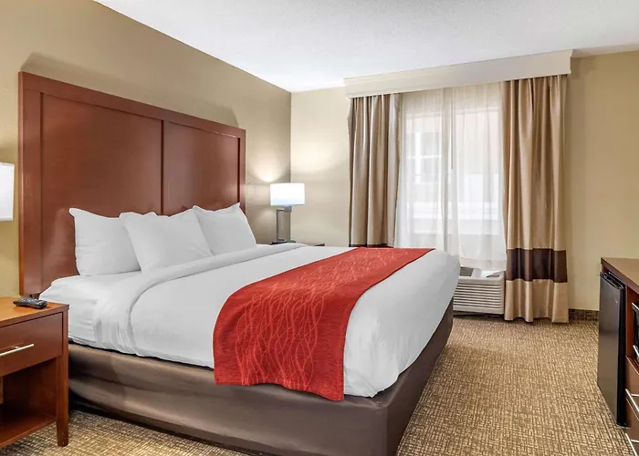 Comfort Inn & Suites Macon North I-75