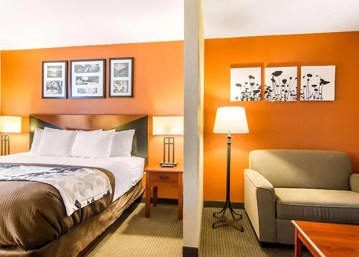 Sleep Inn & Suites Athens South