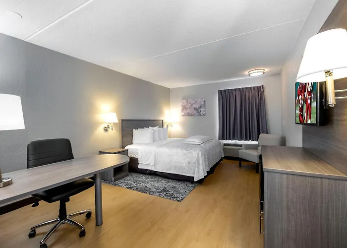 Red Roof Inn Plus Boston - Mansfield - Foxboro