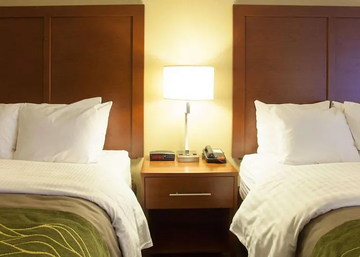 Quality Inn & Suites I-40 East