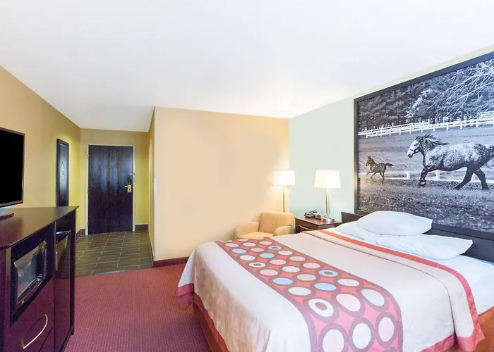Richmond Dog Friendly Hotels