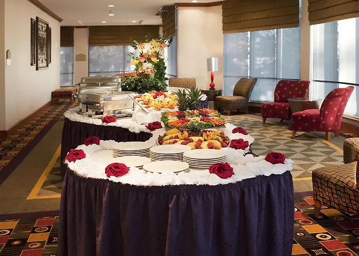 Hilton Garden Inn Dfw Airport South Irving