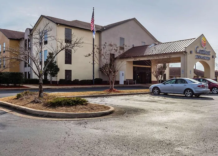 Comfort Inn & Suites Hwy 78 West