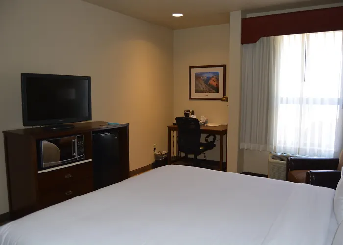 Springdale Dog Friendly Hotels
