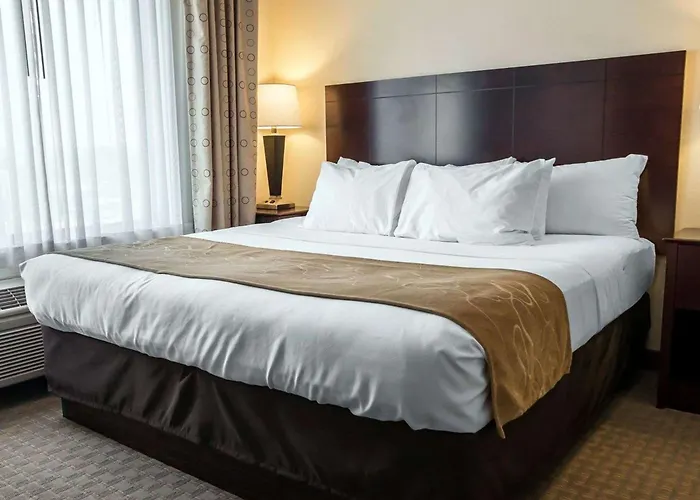 Comfort Suites University Area Notre Dame-South Bend