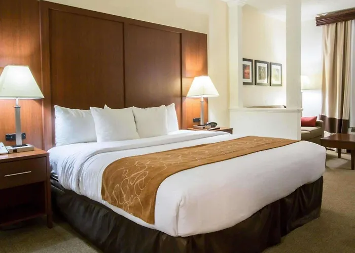 Comfort Suites -Atlanta Near Northside Hospital Forsyth