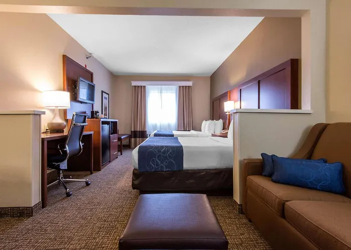Comfort Suites Rochester Henrietta University Area