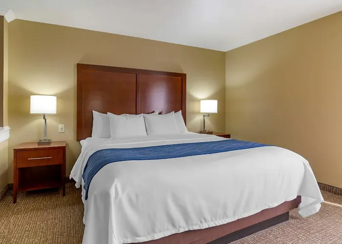 Comfort Inn & Suites Mandan - Bismarck
