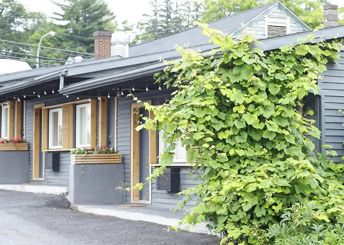 The Vine On Main