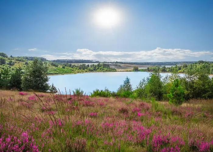 Landal Mooi Zutendaal