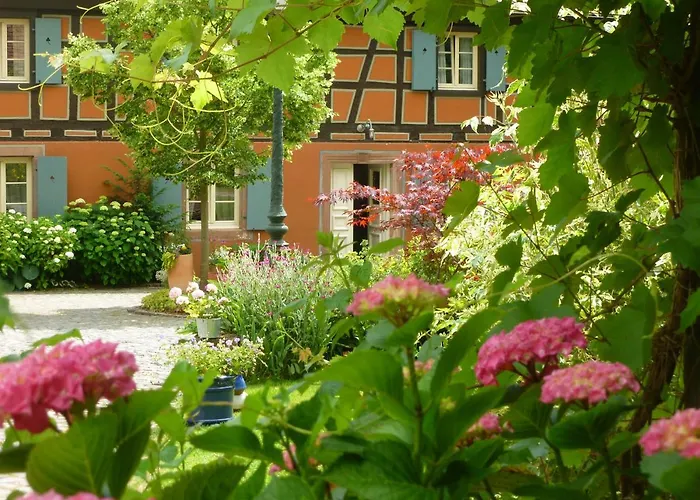 Hotel Le Moulin Gundershoffen