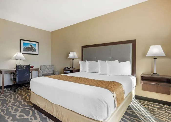 Best Western Plus Fort Stockton Hotel