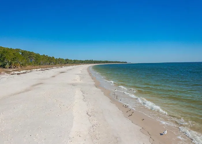 Carrabelle Dog Friendly Hotels