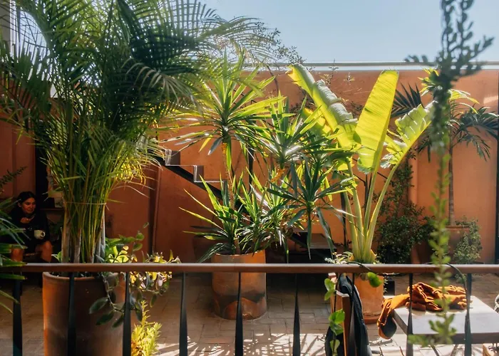 Hotel Boulenc Bed And Bread Oaxaca