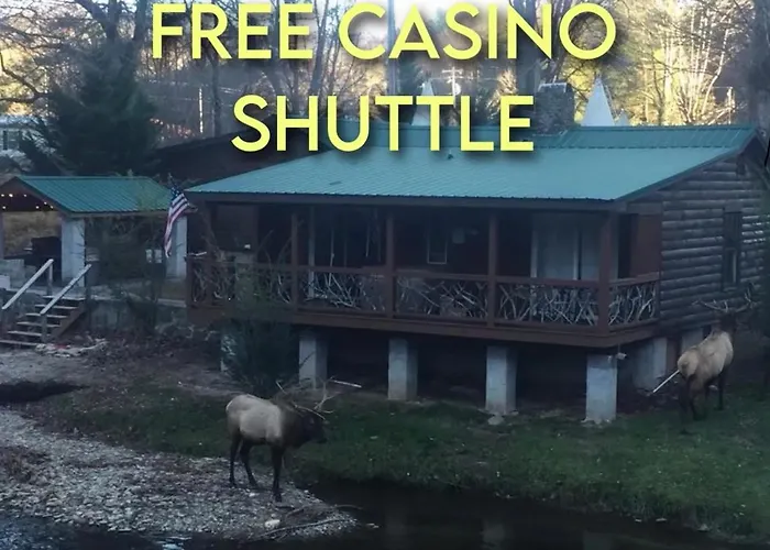 Qualla Cabins And Motel Cherokee Near Casino