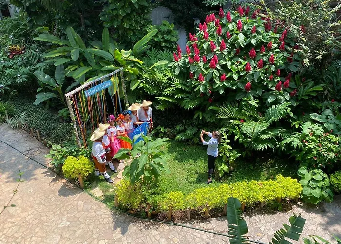 Hotel La Ceiba