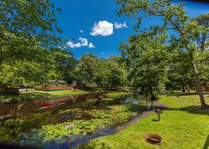 Pine Haven