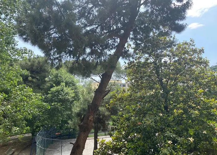 Oasi Verde