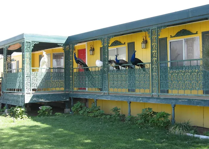 Shady Lady Bed And Breakfast