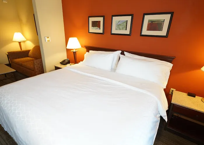 Holiday Inn Express Hotel & Suites Tampa-Oldsmar By Ihg