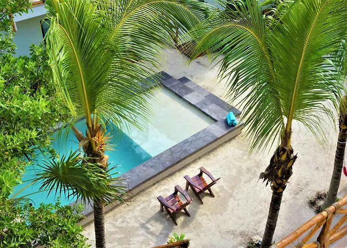 Hondvriendelijke hotels in Isla Holbox