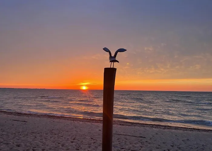 Pine Haven Beach Resort