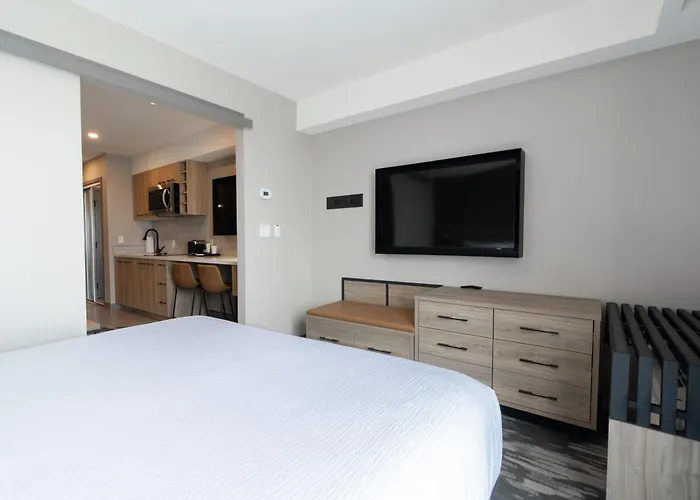 Dartmouth Dog Friendly Hotels