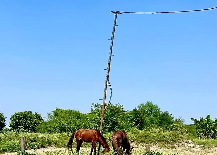 Tekri Farms And Retreat