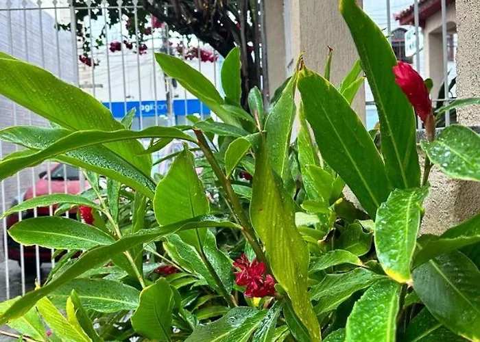 Hotel Amado Aracaju