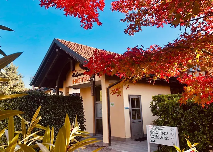 Hotel Malpensa INN Aereoporto Tornavento 