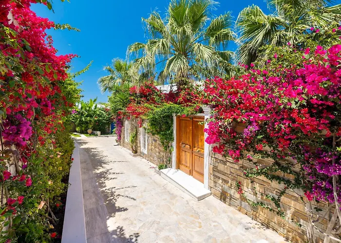 Porto Zante Villas And Spa