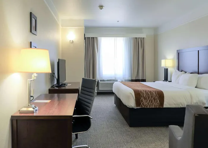 Comfort Inn & Suites, Odessa I-20