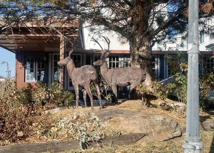 The Charin Inn