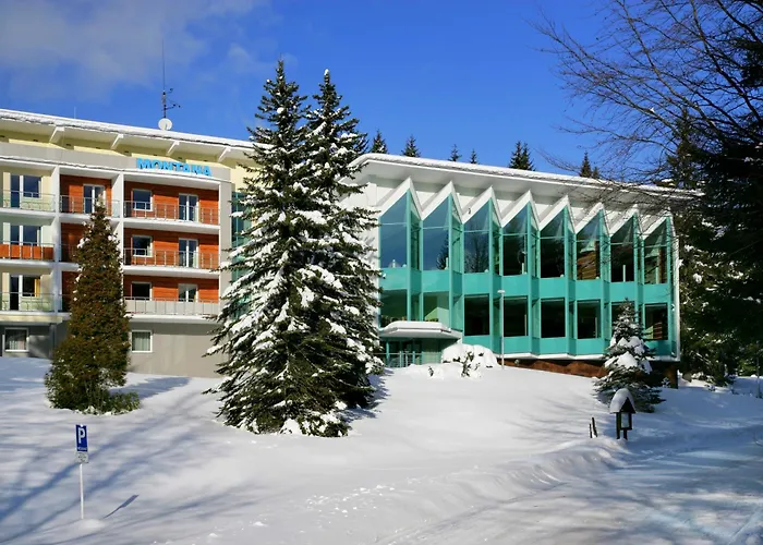 Horsky Hotel Montana