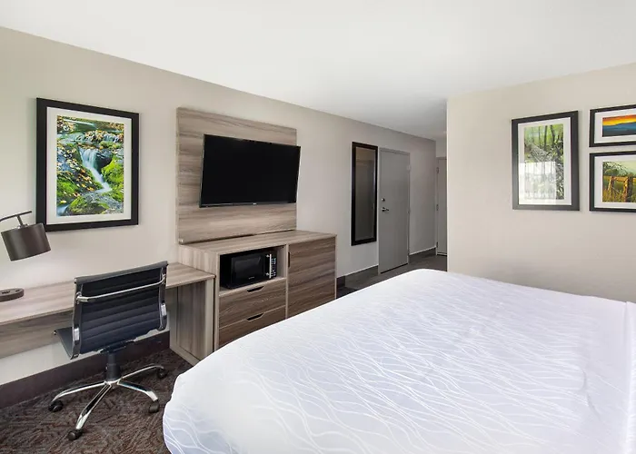 La Quinta Inn By Wyndham Pigeon Forge-Dollywood