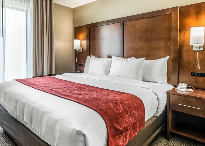 Comfort Suites Dunnellon Near Rainbow Springs