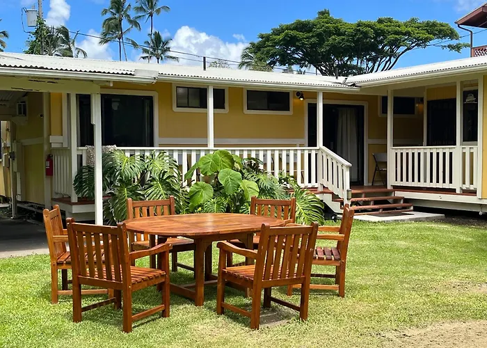 Hilo Dog Friendly Hotels