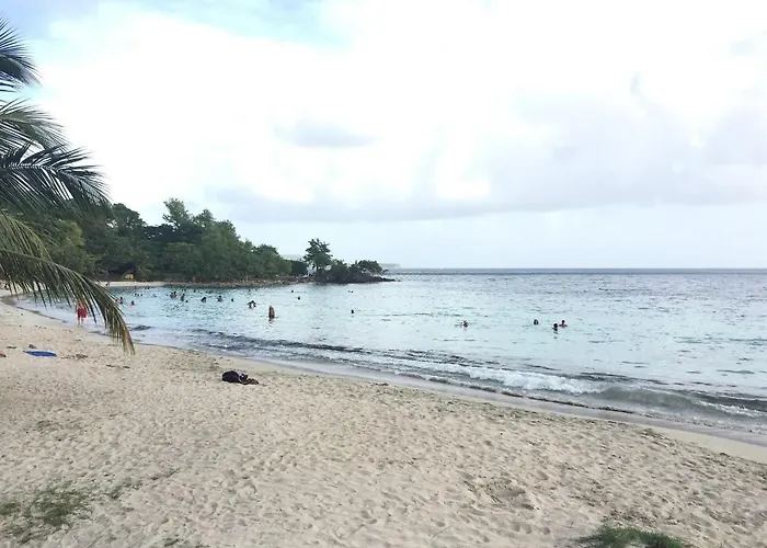 Ti Paradis De L'Anse Figuier Villa Voir Site Vacances En Martinique Sainte-Luce