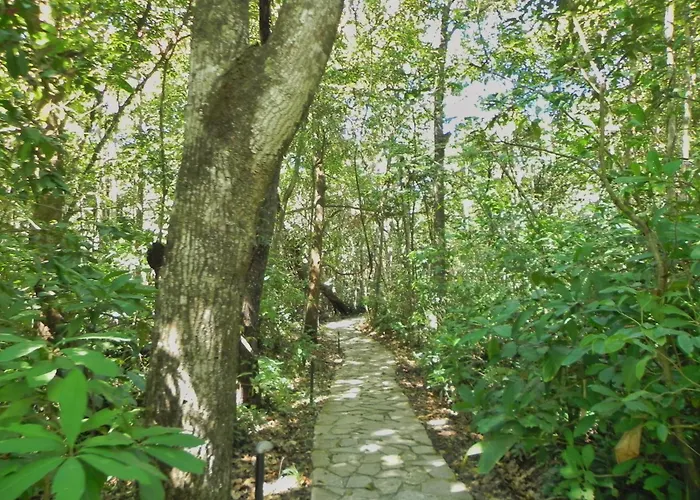 Pousada Éden - Conforto, Imersão e Natureza