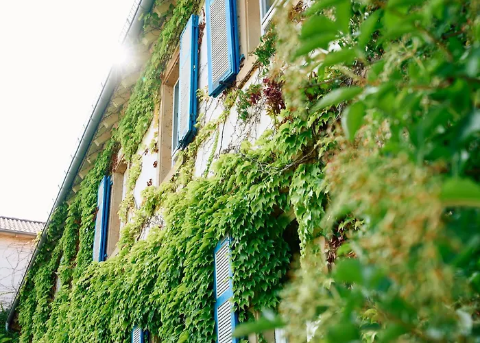Hofgut Wißberg - Das Weinberghotel