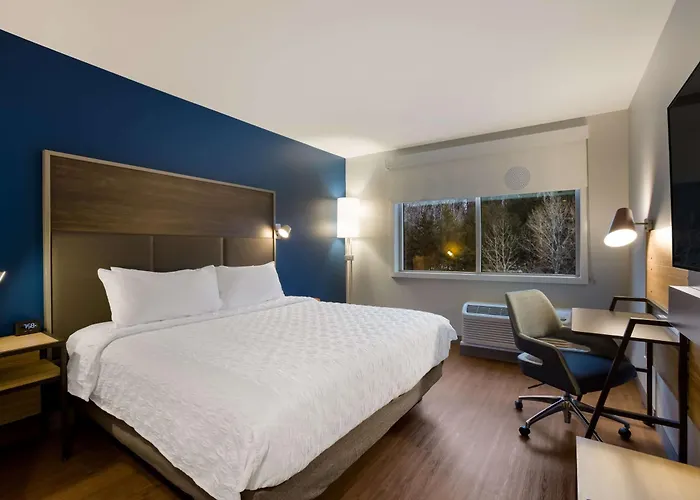 Manistee Dog Friendly Hotels