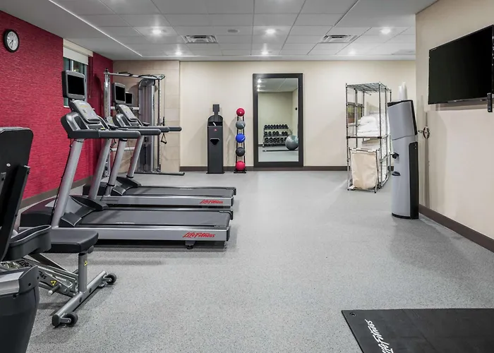 Centerville Dog Friendly Hotels