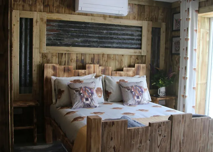 Aberaeron Dog Friendly Hotels