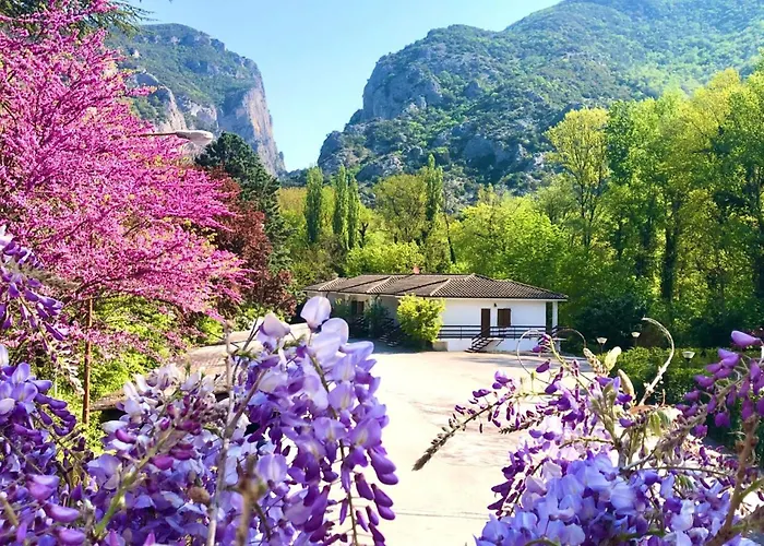 La Ginestra