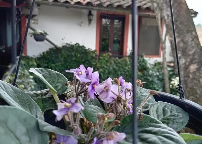 Hotel Boutique Casabella