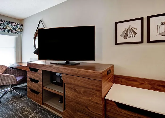Hampton Inn Atlanta-Mall Of Georgia Buford