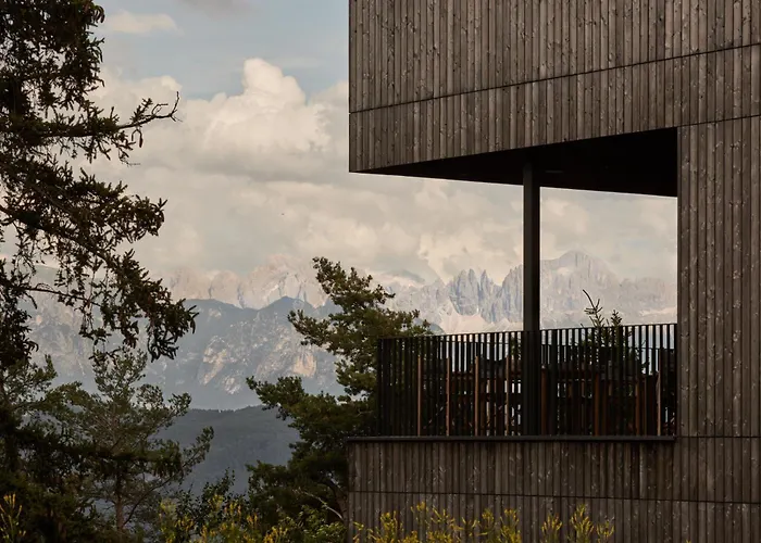 Saltus
