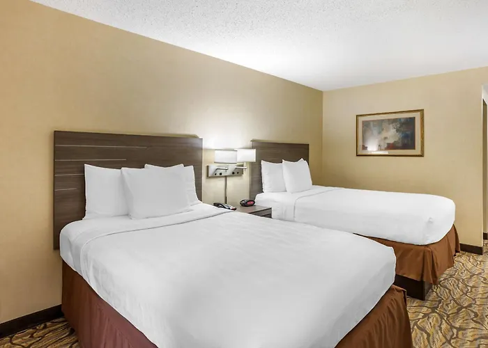 Danville Dog Friendly Hotels