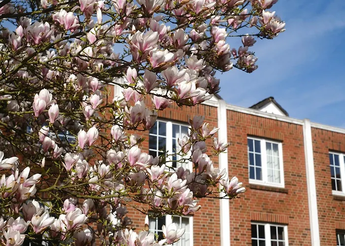 Parkhotel - Rosarium